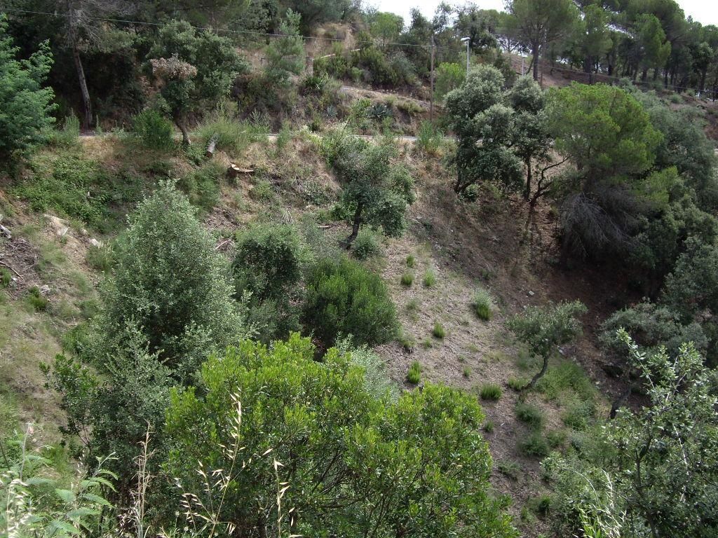 Perceel te koop in Calonge, Girona - Foto 2