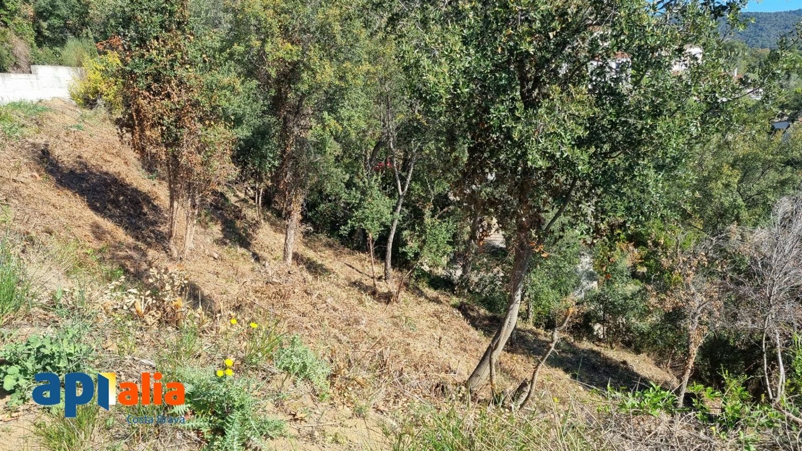 Parcela à venda en Calonge, Girona - Foto 3