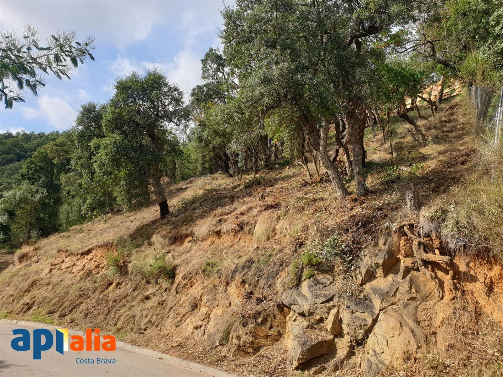 Parcela à venda en Calonge, Girona - Foto 5