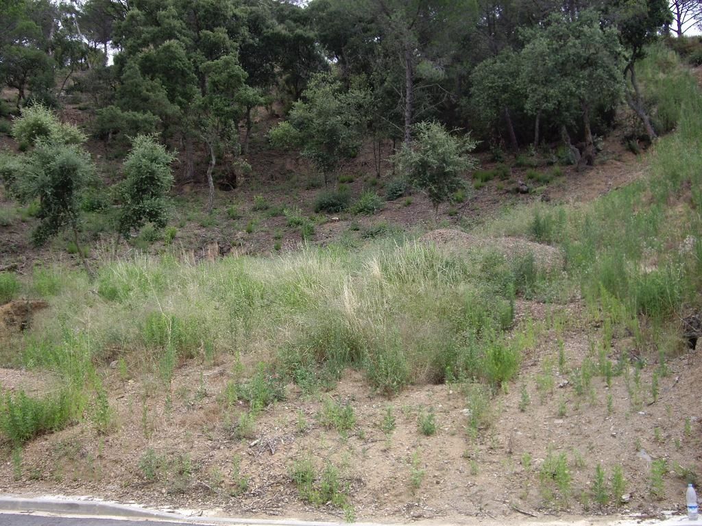 Tomt till salu in Calonge, Girona - Foto 7
