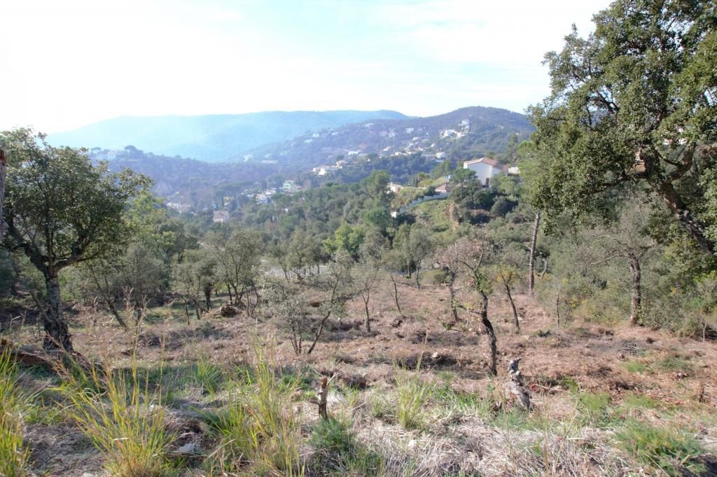 Plot with many possibilities, large area. Ideal to build multi-level house with large terraces and views of the Gavarres. - Foto 2