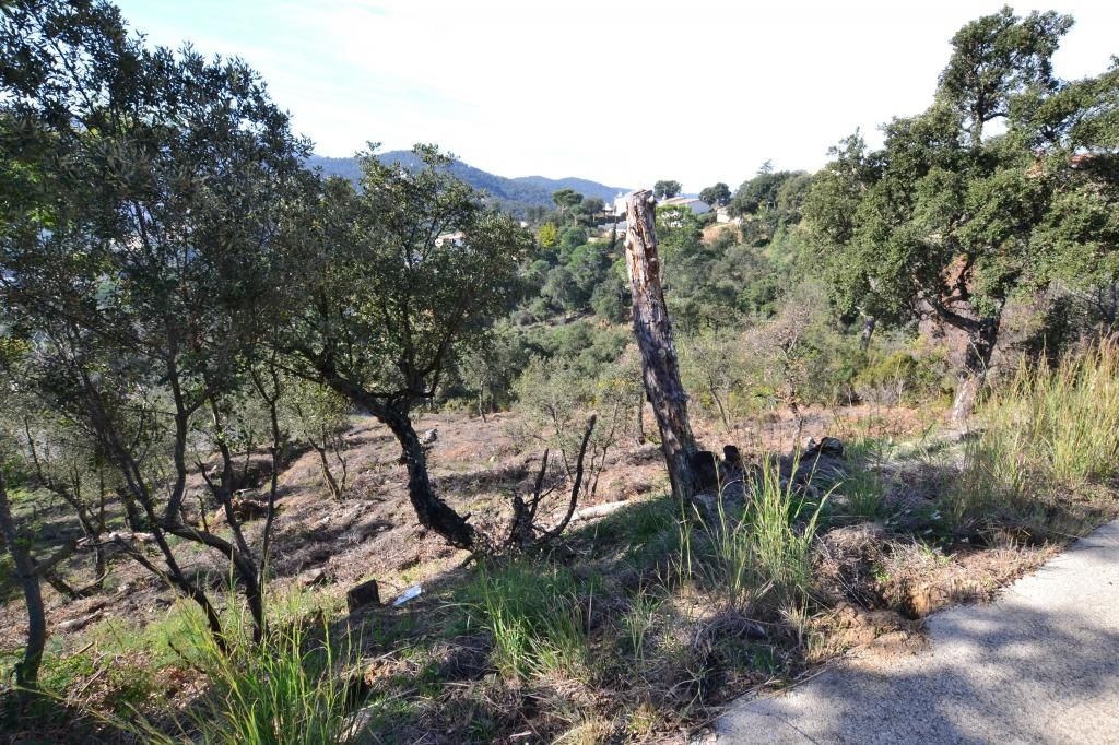 Plot with many possibilities, large area. Ideal to build multi-level house with large terraces and views of the Gavarres. - Foto 4