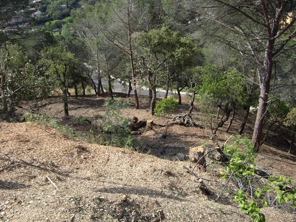 Plot with many possibilities, large area. Ideal to build multi-level house with large terraces and views of the Gavarres. - Foto 6