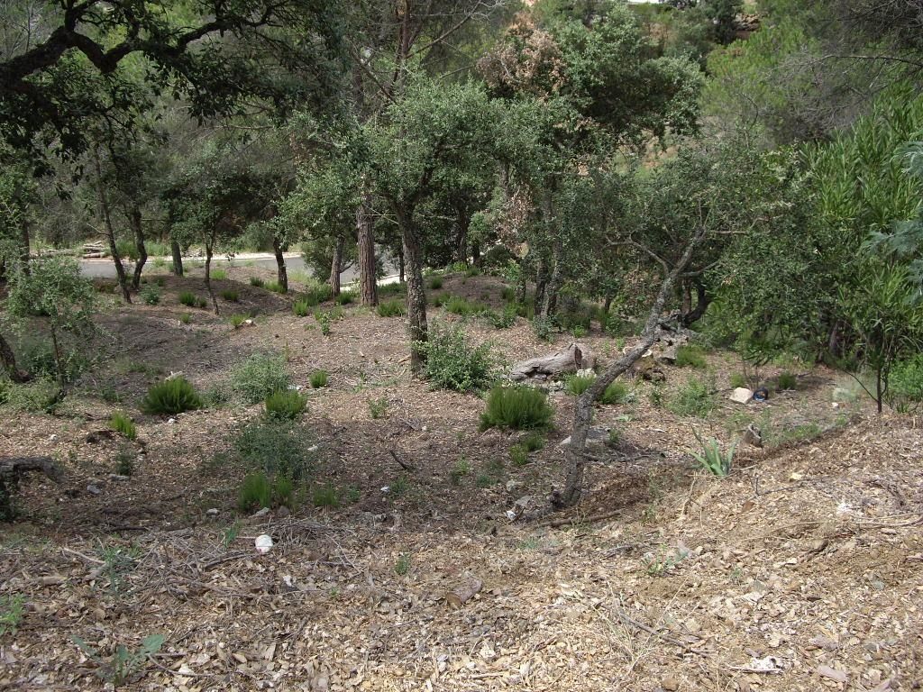 Plot with many possibilities, large area. Ideal to build multi-level house with large terraces and views of the Gavarres. - Foto 7