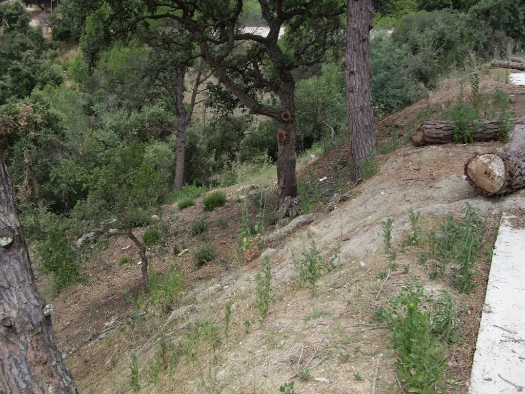 Plot with many possibilities, large area. Ideal to build multi-level house with large terraces and views of the Gavarres. - Foto 8