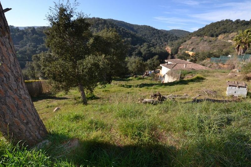 Parcela en venta Calonge, Girona. Ref: 3654. Habitaa