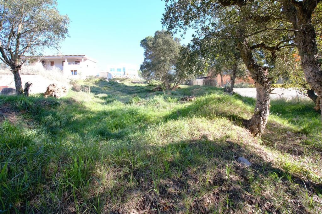 Terreno in vendita in Calonge, Girona - Foto 2