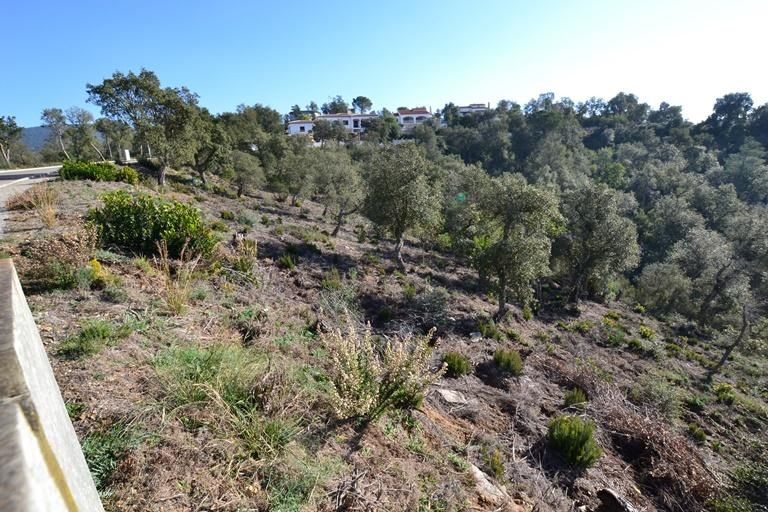 Tomt til salgs i Calonge, Girona - Foto 2