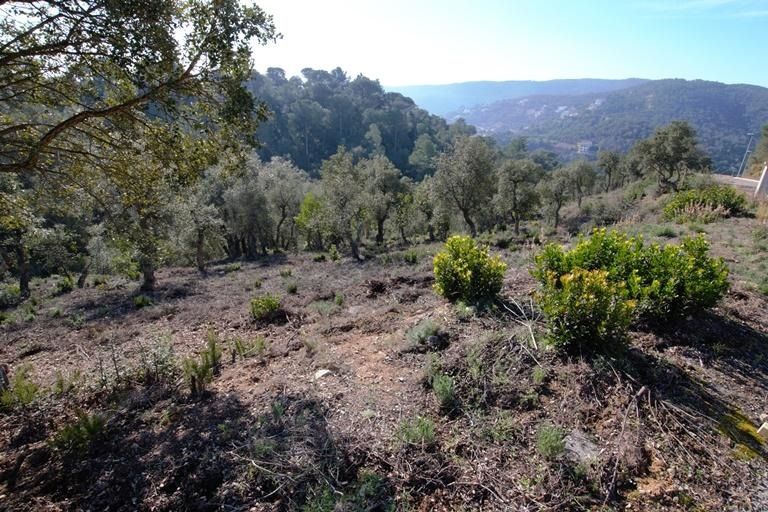 Tomt til salgs i Calonge, Girona - Foto 3