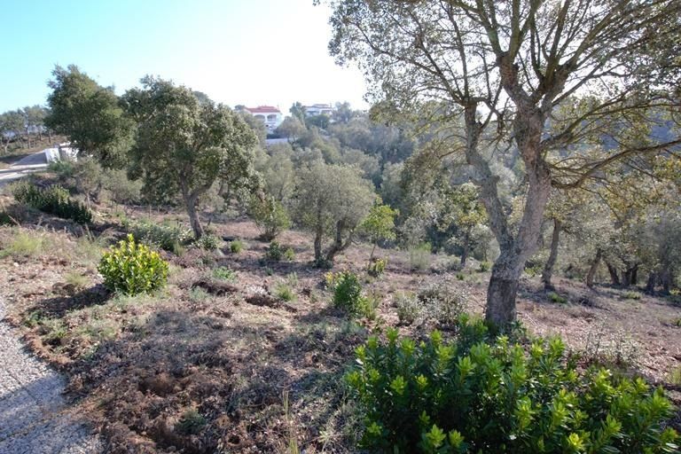 Tomt til salgs i Calonge, Girona - Foto 4
