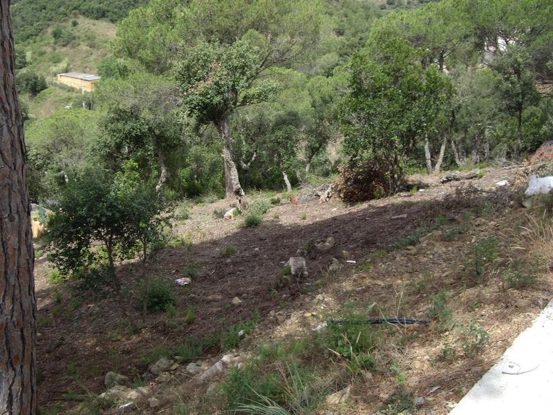 Parcela en venta Calonge, Girona. Ref: 3657. Habitaa