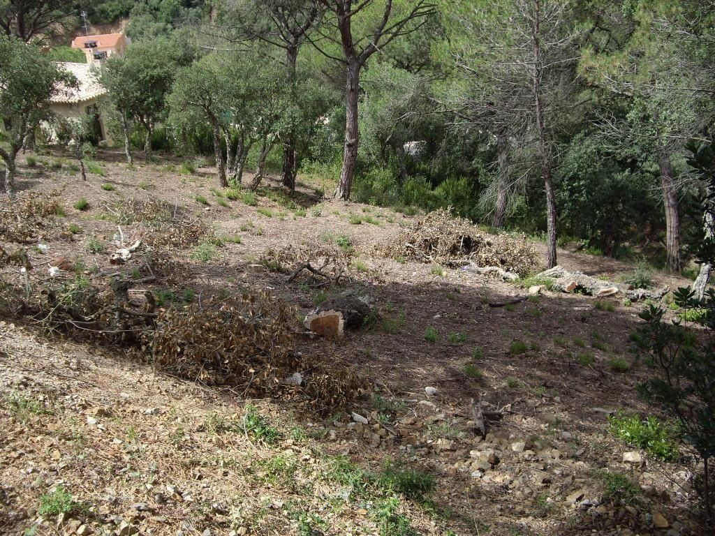 Perceel te koop in Calonge, Girona - Foto 7