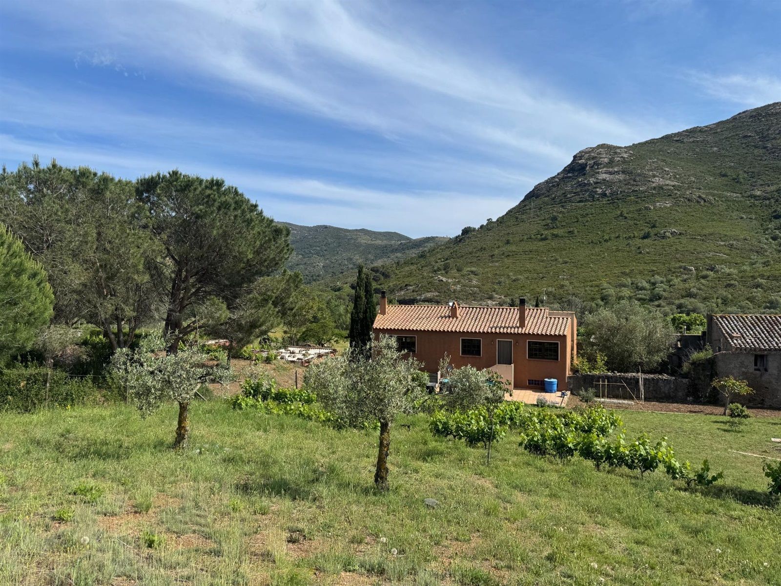 Exklusives Haus in einer idyllischen Wohnanlage im Alt Empordà - Foto 3