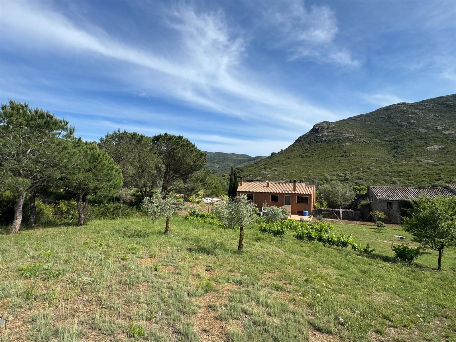Exklusives Haus in einer idyllischen Wohnanlage im Alt Empordà - Foto 4