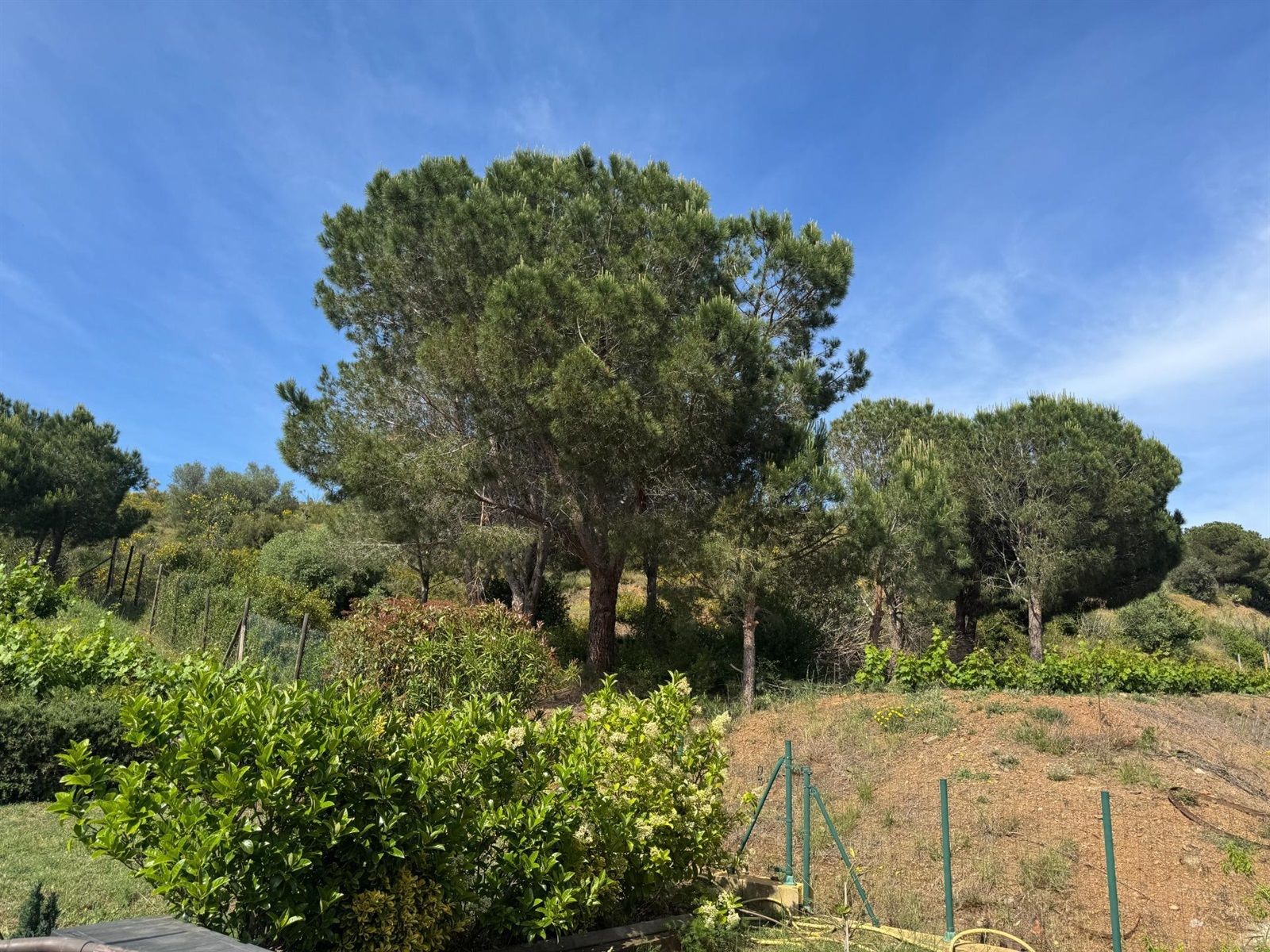 Exklusives Haus in einer idyllischen Wohnanlage im Alt Empordà - Foto 42