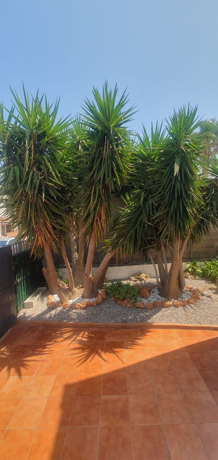 Descobreix aquest habitatge situat en una de les zones residencials de  Roses - Foto 25