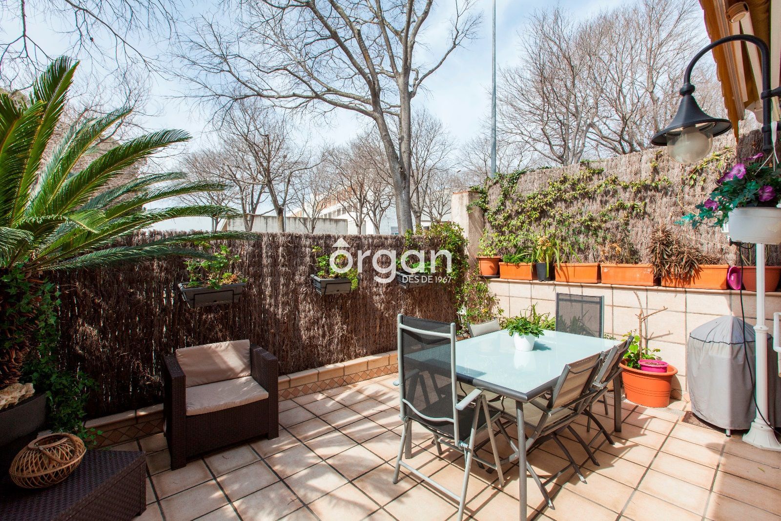 Terraza