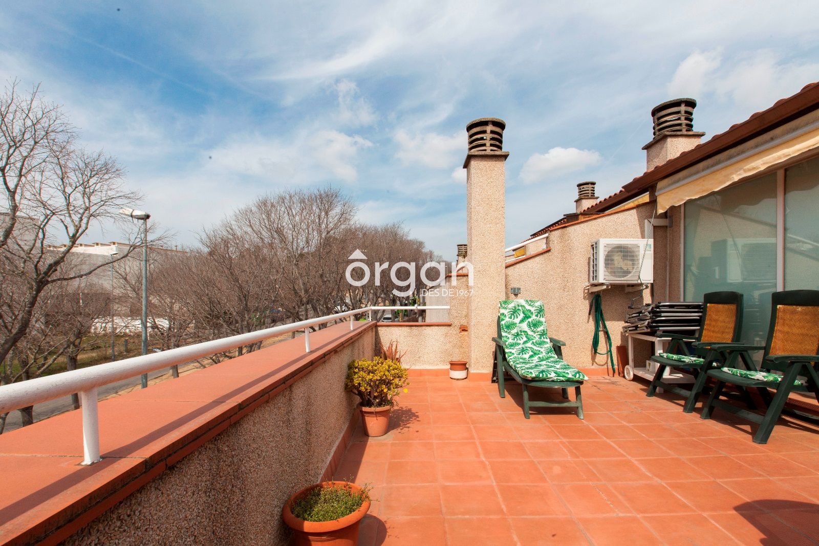 Terraza