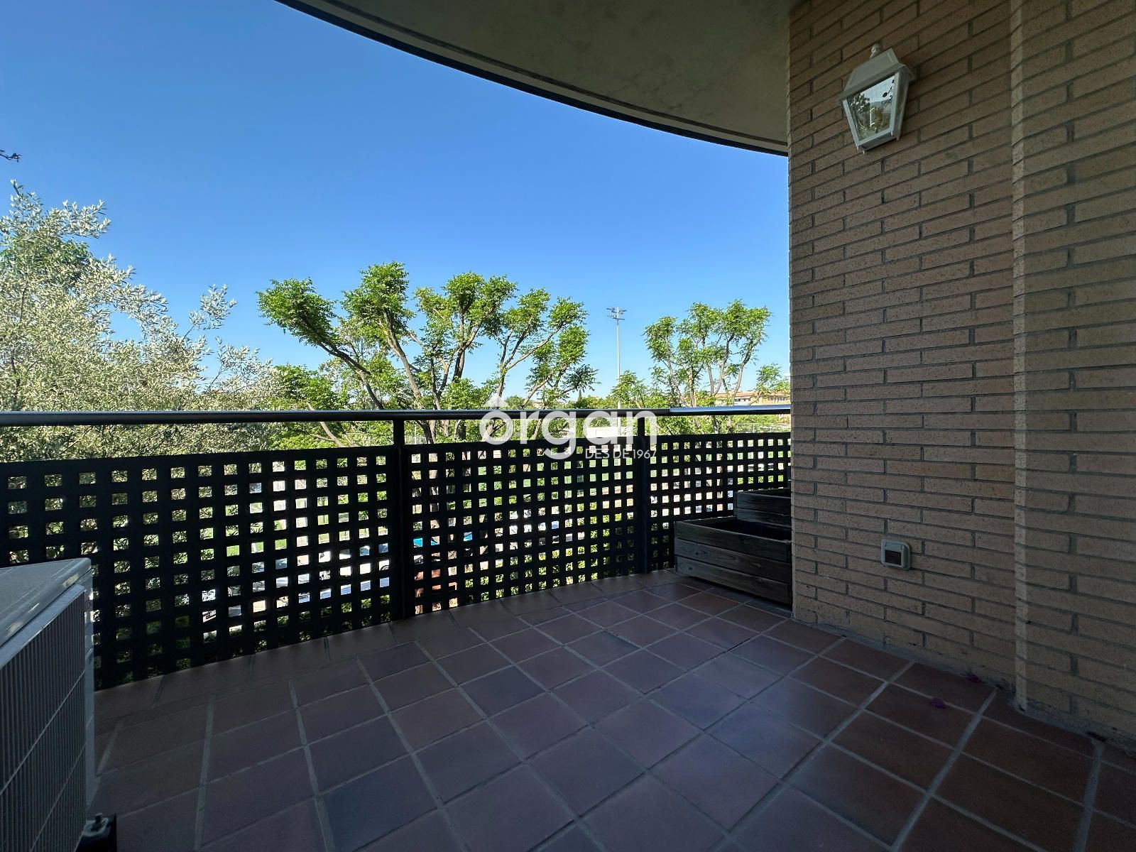 Terraza