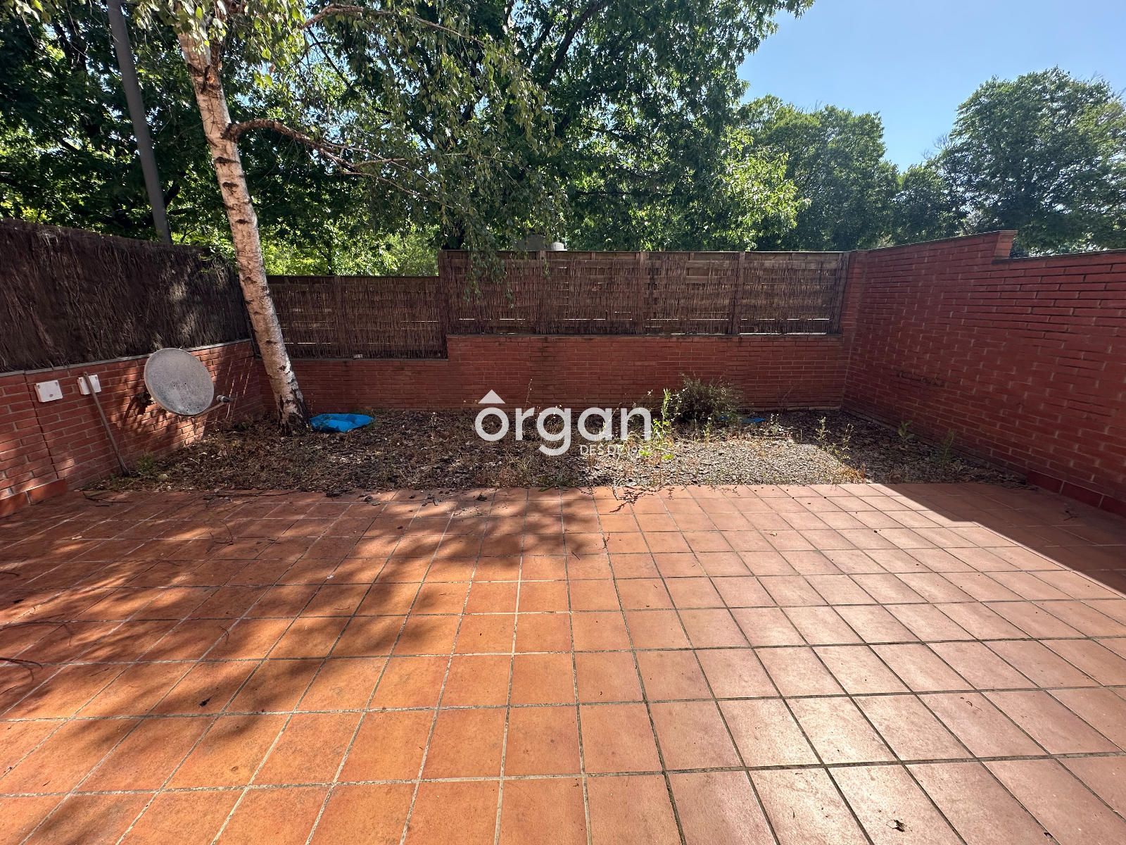Terraza