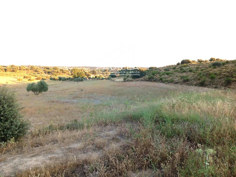 Parcelle en vente Méntrida, Toledo. Ref: 1257. Padilla Inmobiliaria