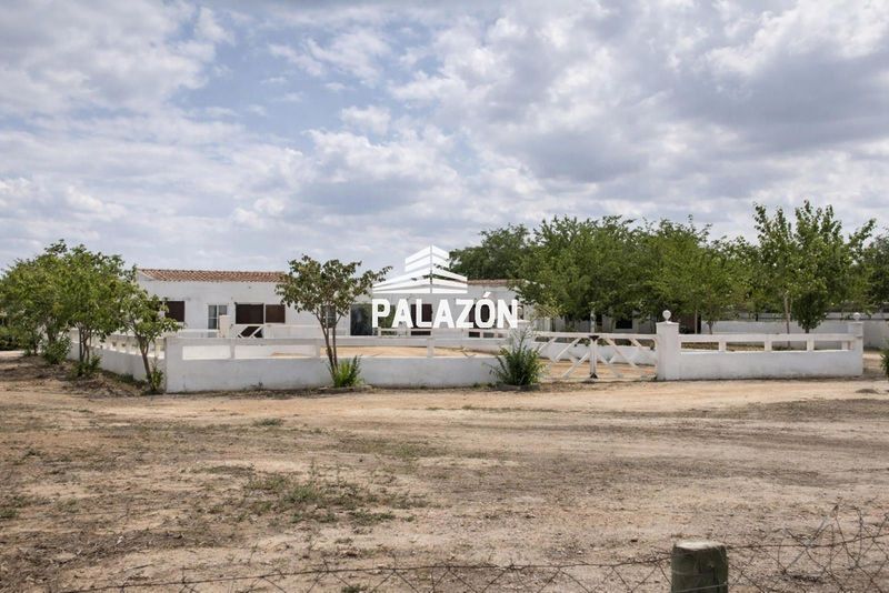 propriété en vente Catral, Alicante. Ref: 1031. Inmobiliaria Palazón