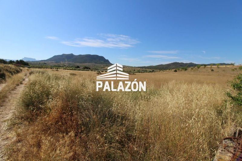 Finca Rústica en venta Salinas, Alicante. Ref: 1048. Inmobiliaria Palazón