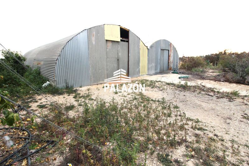 Finca de Cultivo en venta Crevillent, Alicante. Ref: 108. Inmobiliaria Palazón