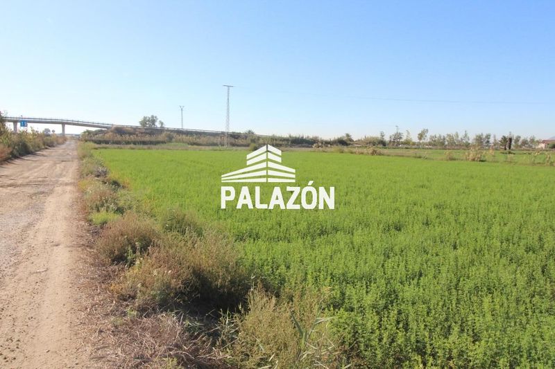 Finca Rústica en venta Crevillent, Alicante. Ref: 1118. Inmobiliaria Palazón