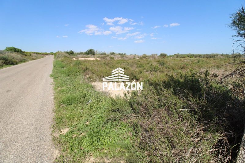 Finca Rústica en venta Crevillent, Alicante. Ref: 1155. Inmobiliaria Palazón