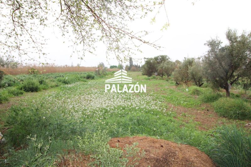 Villas en vente Dolores, Alicante. Ref: 1156. Inmobiliaria Palazón