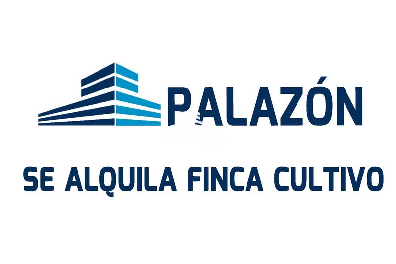 Finca de Cultivo en alquiler Crevillent, Alicante. Ref: 1273. Inmobiliaria Palazón