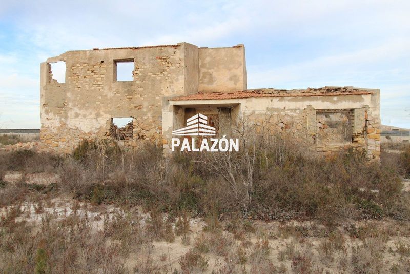 Finca de Cultivo en venta Crevillent, Alicante. Ref: 137. Inmobiliaria Palazón