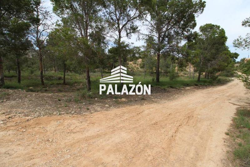 Finca Rústica en venta Crevillent, Alicante. Ref: 1731. Inmobiliaria Palazón