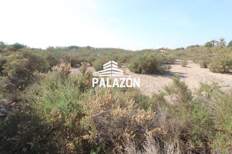 Finca Rústica en venta Crevillent, Alicante. Ref: 1758. Inmobiliaria Palazón