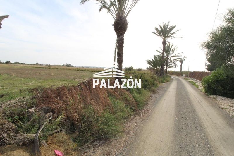 Finca Rústica en venta Elche/Elx, Alicante. Ref: 1804. Inmobiliaria Palazón
