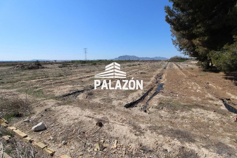 Finca de Cultivo en venta Crevillent, Alicante. Ref: 1858. Inmobiliaria Palazón