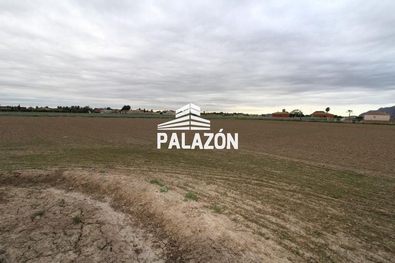 Casa de Campo en venta Catral, Alicante. Ref: 1878. Inmobiliaria Palazón