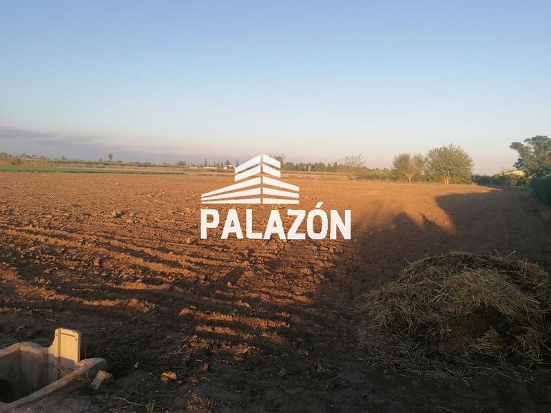 Finca Rústica en venta Catral, Alicante. Ref: 3140. Inmobiliaria Palazón