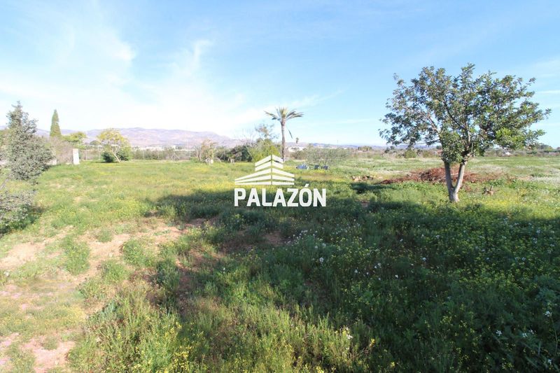 Finca Rústica en venta Crevillent, Alicante. Ref: 321. Inmobiliaria Palazón