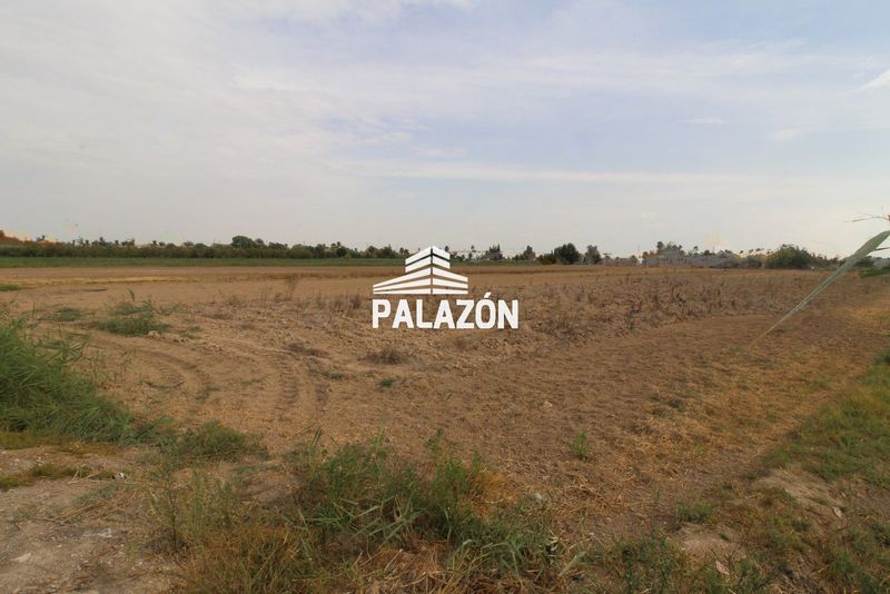 Finca Rústica en venta Catral, Alicante. Ref: 325. Inmobiliaria Palazón