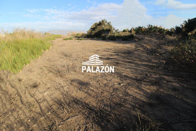 Finca Rústica en venta Catral, Alicante. Ref: 3255. Inmobiliaria Palazón