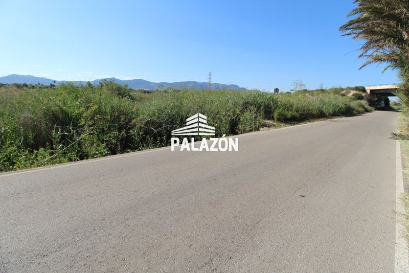 Finca Rústica en venta Crevillent, Alicante. Ref: 3284. Inmobiliaria Palazón