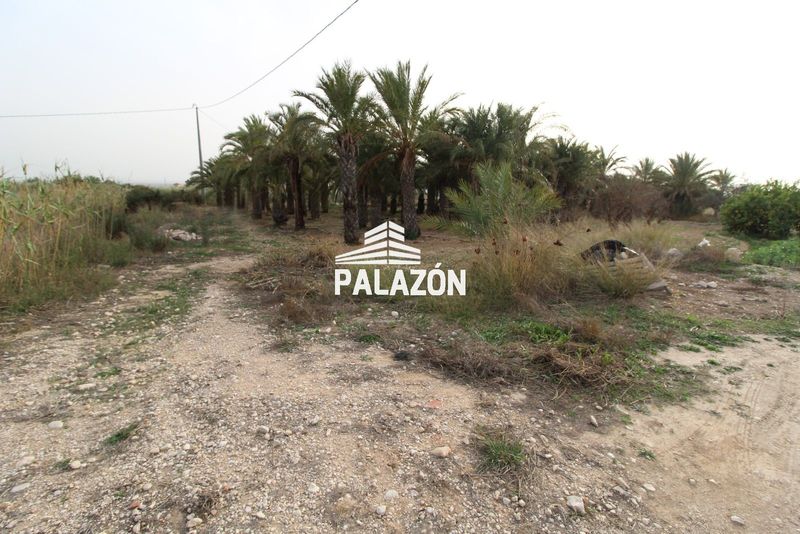 Finca Rústica en venta Albatera, Alicante. Ref: 367. Inmobiliaria Palazón