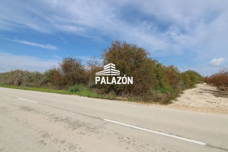 Finca Rústica en venta Albatera, Alicante. Ref: 3701. Inmobiliaria Palazón