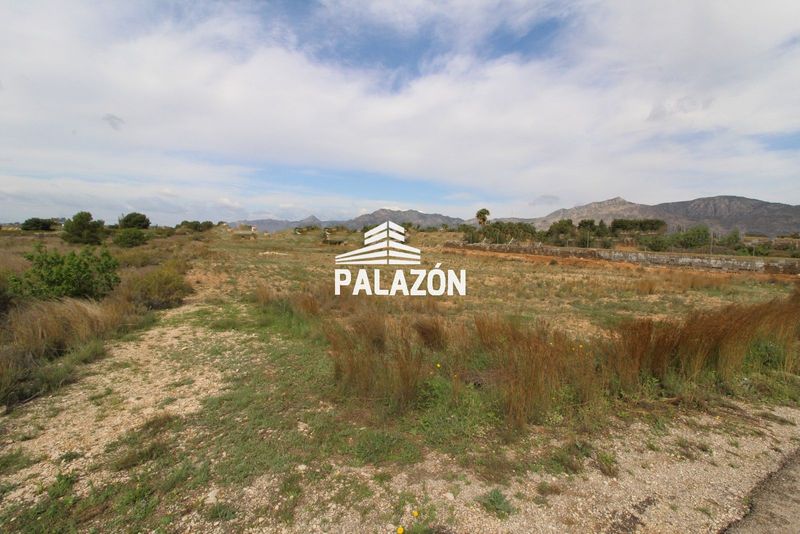 Finca Rústica en venta Albatera, Alicante. Ref: 3705. Inmobiliaria Palazón
