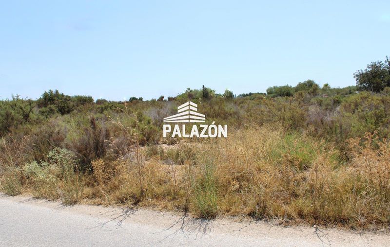 Finca Rústica en venta Crevillent, Alicante. Ref: 3763. Inmobiliaria Palazón