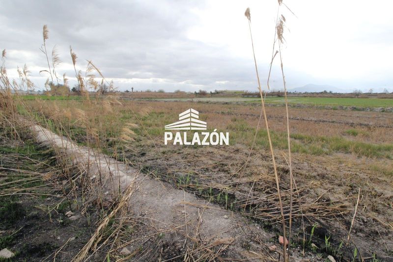 Finca Rústica en venta Crevillent, Alicante. Ref: 3824. Inmobiliaria Palazón