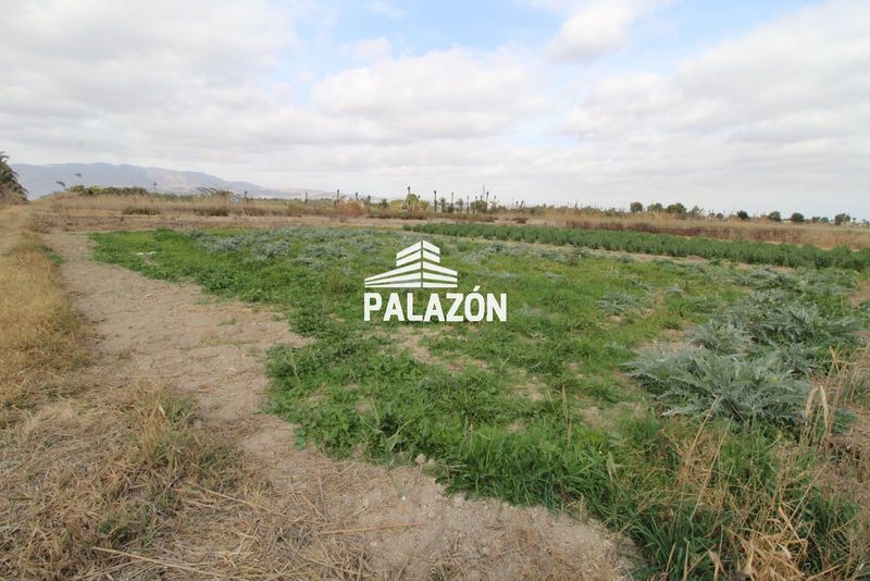 Finca Rústica en venta Crevillent, Alicante. Ref: 3825. Inmobiliaria Palazón