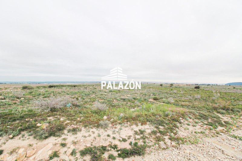 Finca de Cultivo en venta Rojales, Alicante. Ref: 3933. Inmobiliaria Palazón